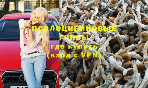 каннабис Алзамай