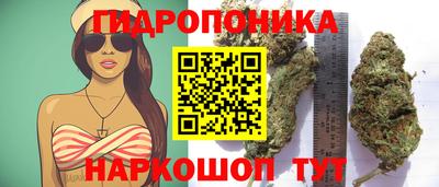 трава Абинск